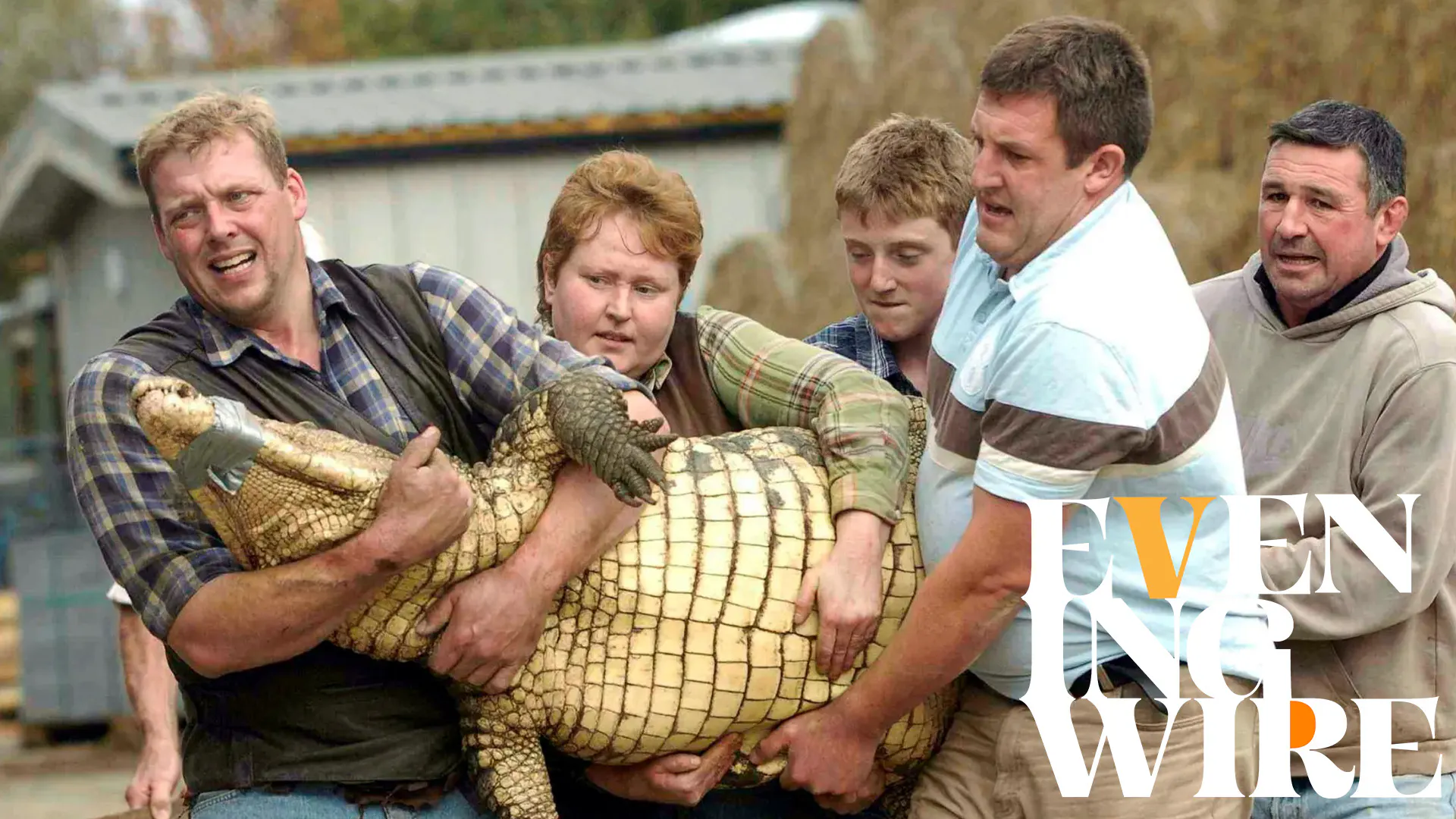 Evening Wire: An $80 Billion Question & The Boy in the Crocodile Pit | 6.19.26