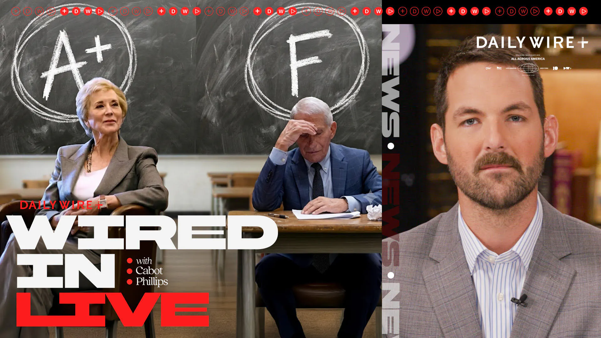 Wired In Live: Dismantling Education & Prosecuting Fauci