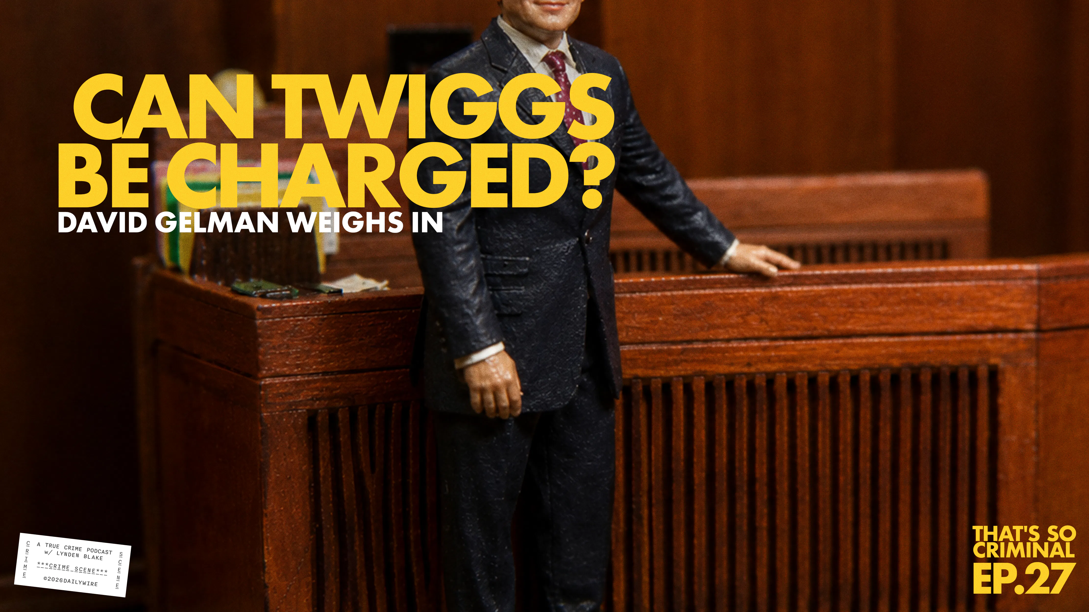 Can Twiggs be Charged? David Gelman Weighs In