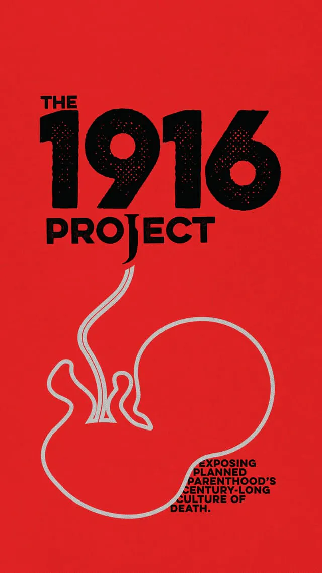 1916 Project